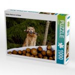 CALVENDO Puzzle Golden Retriever im Winter 1000 Teile Lege-Größe 64 x 48 cm Foto-Puzzle Bild von Kattobello