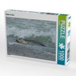 CALVENDO Puzzle Robbe im Meer 1000 Teile Lege-Größe 64 x 48 cm Foto-Puzzle Bild von Kattobello