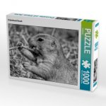 CALVENDO Puzzle Präriehund Snack 1000 Teile Lege-Größe 64 x 48 cm Foto-Puzzle Bild von kattobello