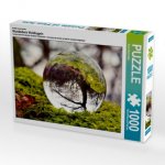 Ein Motiv aus dem Kalender Wunderbare Waldkugeln (Puzzle)