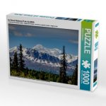 Im Denali National Park ALASKA (Puzzle)