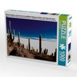 Riesen-Kakteen auf einer Insel im größtem Salzsee der Erde, dem Salar de Uyuni (Puzzle)