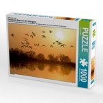 Ein Motiv aus dem Kalender Emotionale Momente: Die Graugans. (Puzzle)