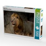 CALVENDO Puzzle Afrikas Tiere im Fokus 1000 Teile Lege-Größe 64 x 48 cm Foto-Puzzle Bild von Johann Schörkhuber