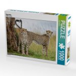 Geparden (Puzzle)