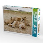 Ein Motiv aus dem Kalender Emotionale Momente: Löwenbabys - so süß. (Puzzle)