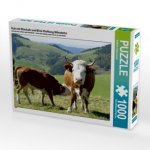 Kuh mit Stierkalb und Blick Richtung Münstertal (Puzzle)