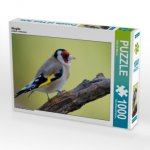 Stieglitz (Puzzle)