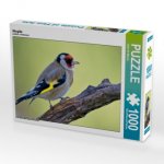 Stieglitz (Puzzle)