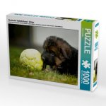 Deutscher Schäferhund - Welpe (Puzzle)