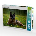 Deutscher Schäferhund (Puzzle)