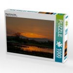Bingenheimer Ried (Puzzle)