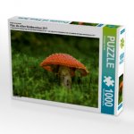 Ein Motiv aus dem Kalender Pilze, die stillen Waldbewohner 2017 (Puzzle)
