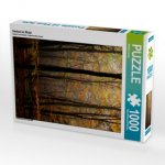 Herbst im Wald (Puzzle)