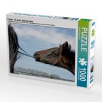 Fohlen - für jeden Spaß zu haben (Puzzle)