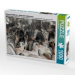 Dülmener Wildpferde - Gefährdete Nutztierrasse (Puzzle)