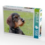 Ein Motiv aus dem Kalender Liebenswerte Rabauken Rauhaardackel / CH-Version (Puzzle)