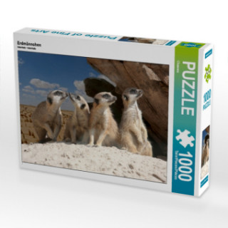 Erdmännchen in der Wüste, 1000 Teile