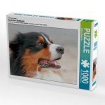 Ein Motiv aus dem Kalender Australian Shepherd (Puzzle)