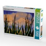 Parkimpressionen aus Wörlitz (Puzzle)
