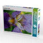Traumhafte Iris Blüte (Puzzle)