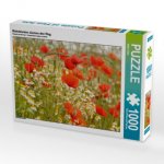 Mohnblumen säumen den Weg (Puzzle)