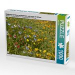 Wildblumen für Bienen mit Goldmohn und Junger im Grünen (Puzzle)