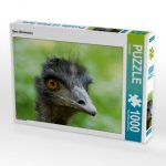 CALVENDO Puzzle Emu (Dromaius) 1000 Teile Lege-Größe 64 x 48 cm Foto-Puzzle Bild von kattobello