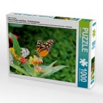 Ein Motiv aus dem Kalender Tiere in Parks und Zoos - Familienplaner (Puzzle)