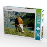 Kuh vorm Öschinensee (Puzzle)