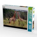 Giraffen (Puzzle)