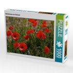 Mohnblumen am Feldrand (Puzzle)