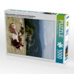 Blick zum Belchen und Fleckvieh beim Wiederkäuen (Puzzle)
