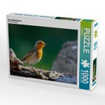 Das Rotkehlchen (Puzzle)