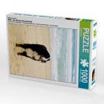 Ein Motiv aus dem Kalender BÄR - Der Berner Sennenhund (Puzzle)