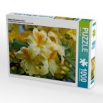 Gelber Rhododendron (Puzzle)