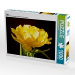 Tulpe (Puzzle)