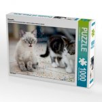 CALVENDO Puzzle Huuuch... 1000 Teile Lege-Größe 64 x 48 cm Foto-Puzzle Bild von Christiane Calmbacher