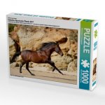 Ein Motiv aus dem Kalender Caballos Spanische Pferde 2017 (Puzzle)