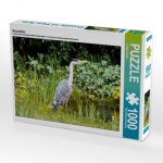 Graureiher (Puzzle)