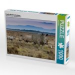 Familie Breitmaulnashorn (Puzzle)
