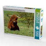 Schottischer Hochlandbulle mit Schafstelze (Motacilla flava) (Puzzle)