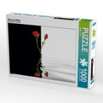 Black and White (Puzzle)