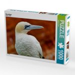 Basstölpel (Puzzle)