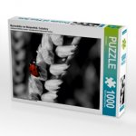 Marienkäfer im Weizenfeld, Colorkey (Puzzle)