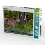 Wolf im Tierfreigelände (Puzzle)