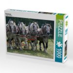 Percheron (Puzzle)