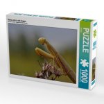 Schau mir in die Augen (Puzzle)