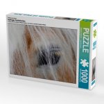 Ein Motiv aus dem Kalender Haflinger Schönheiten (Puzzle)