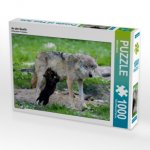 CALVENDO Puzzle Wolfswelpe beim Saugen 1000 Teile Lege-Größe 64 x 48 cm Foto-Puzzle Bild von Wilfried Martin